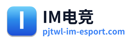 IM电竞